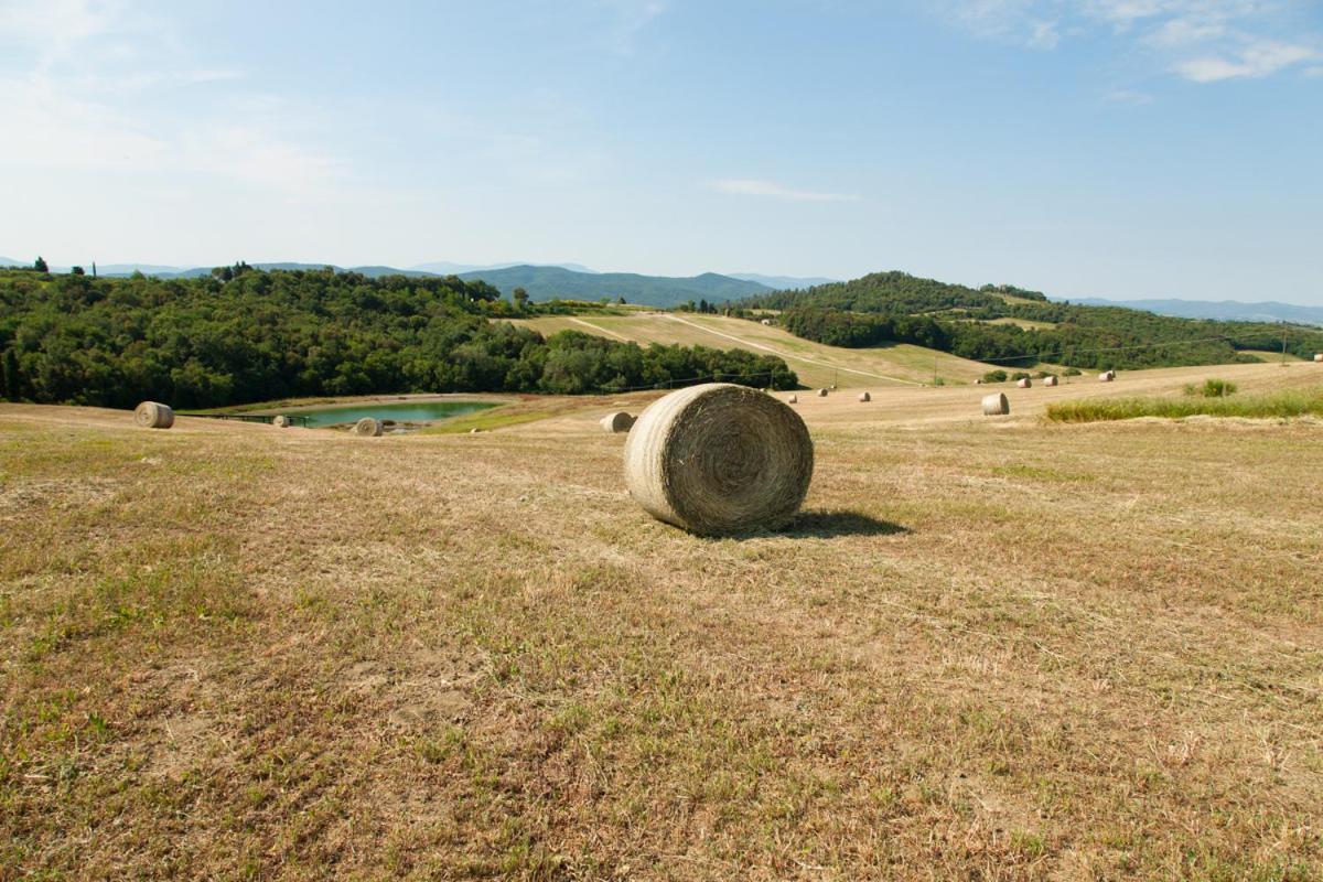 I Quattro Elementi Bed and Breakfast Volterra Eksteriør billede
